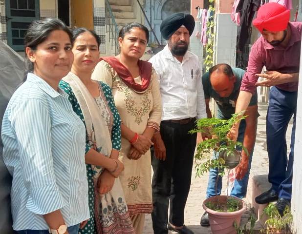Nasha Mukti Center Nawanshahr celebrated Environment Day.